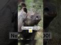 Endangered Animals that are Recovering! 🙂 #trending #viral #shorts