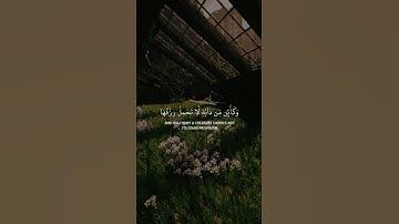 ( الَّذِينَ صَبَرُوا وَعَلَىٰ رَبِّهِمْ يَتَوَكَّلُونَ ) سورة العنكبوت، عبدالرحمن مسعد🌱 .