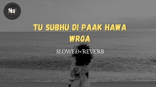 Nimra mehar subho di pak hawa warga (slowed reverb) new song