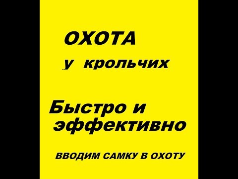 Приводим крольчиху в сильную охоту. Случка кроликов.