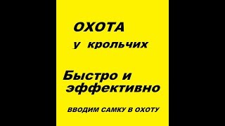Приводим крольчиху в сильную охоту. Случка кроликов. Приводим крольчиху в сильную охоту. Случка кроликов.