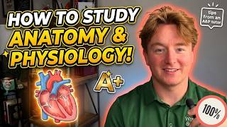 How to Pass Anatomy Physiology From An A Student