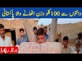 World record | Pakistani lifting 100 kilo by teeth | weight Lifting | Village Online Team