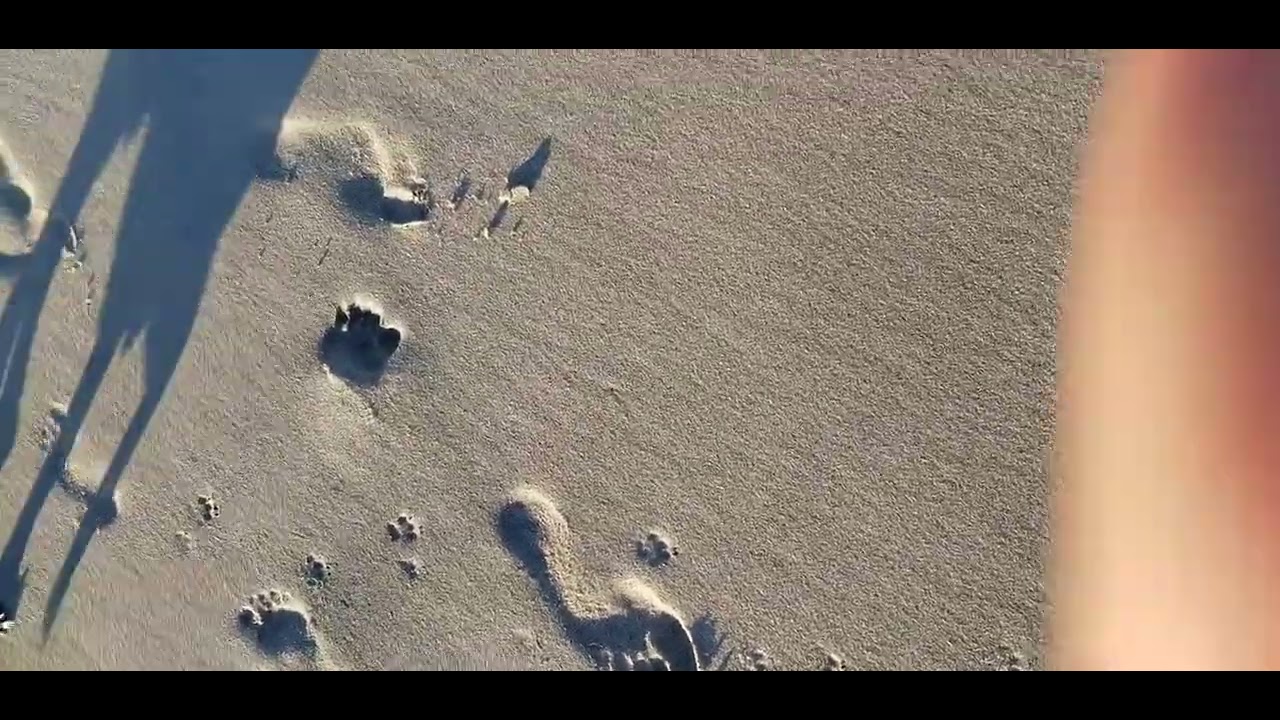footprints YouTube