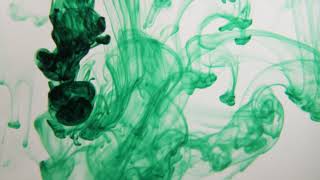 Jerome Take My Hand Track 4 Hp