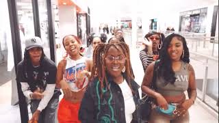 Pretty Kitty Meow Official Music Video Without Skit