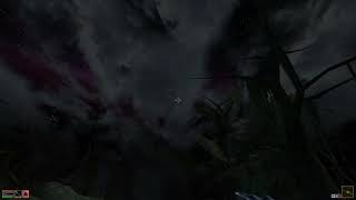 Morrowind [Falling Wizzard]