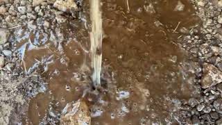Flooding the Dirt Road