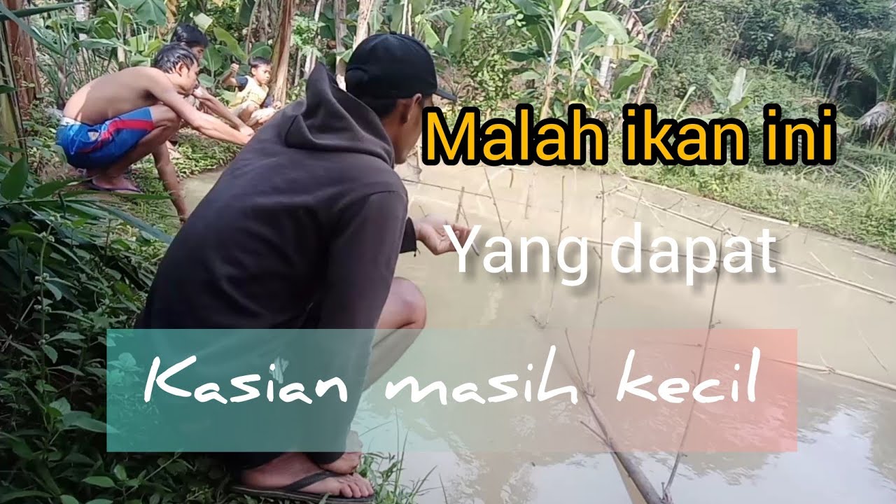 Mancing LELE cacabean di empang ll strek terus..!! 