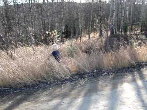Justin Learning Bike Riding.wmv