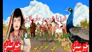 Dhel Re More Re Jhore Laage Fothre -Fuzia Soomro Marwari Sada Bahar Geet