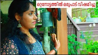 കരൾ അലിക്കുന്ന കാഴ്ച നാട്ടിൽ നിന്നും തിരിച്ചു എത്തിയപ്പോൾ || VLOG