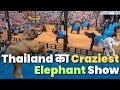 Thailand: Exploring Pattaya&#39;s Elephant Show at Nong Nooch Botanical Garden | Elephant Show Pattaya