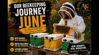 Our Beekeeping Journey | June 2026 | Starting an Apiary from Scratch