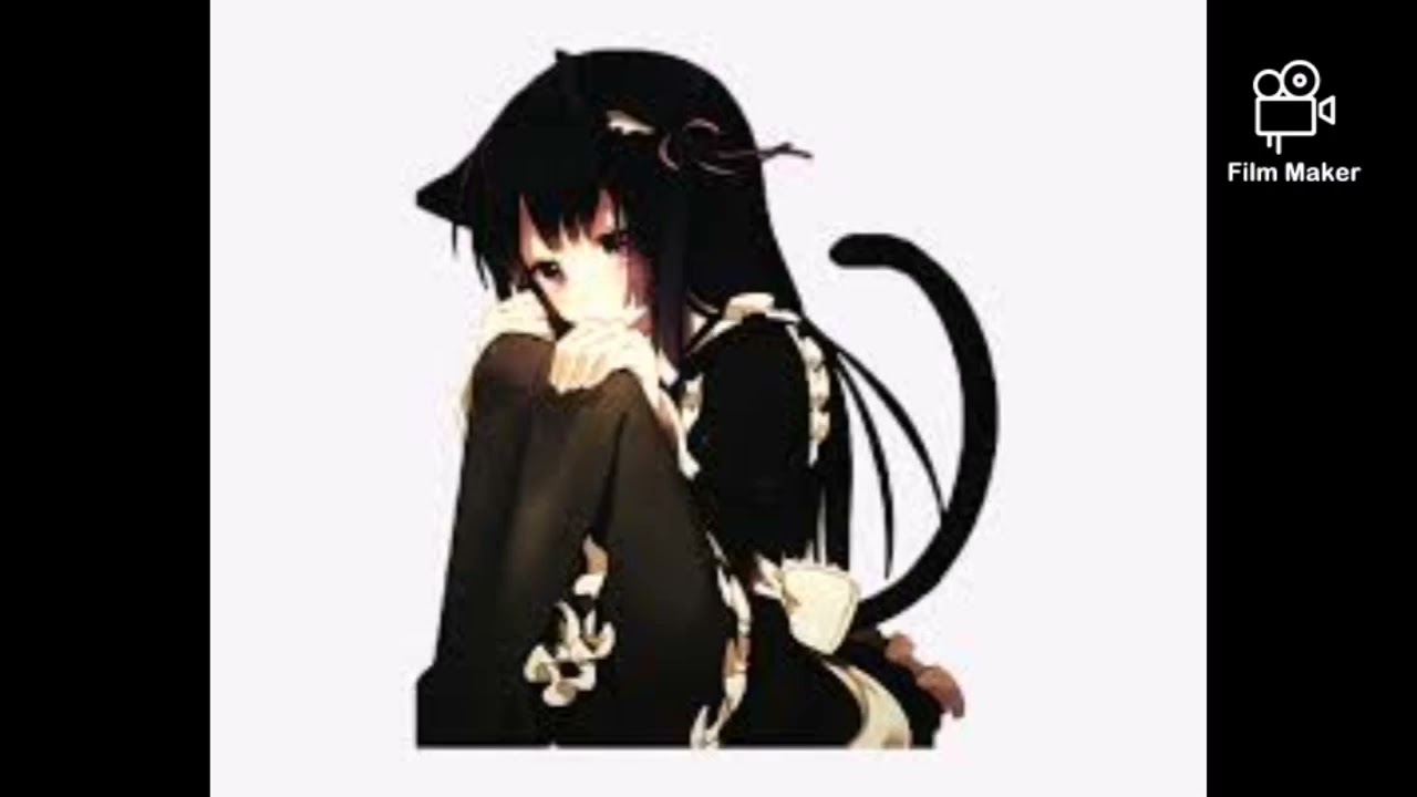 Kurocha Neco