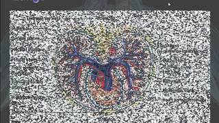A&P Chapter 16- Respiratory System Structures