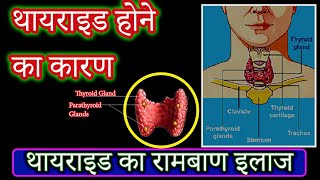 Thyroid treatment I थायराइड का इलाज  |  Thaayaraid ka ilaaj