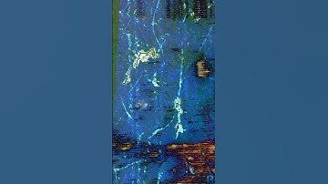 DISTANT | DESOLATION | OUT NOW