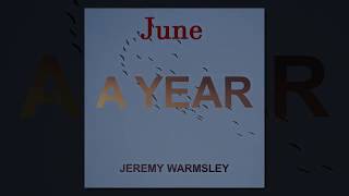 Watch Jeremy Warmsley June video