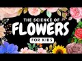 Science of flowers for kids by little lab  educationals for toddlers