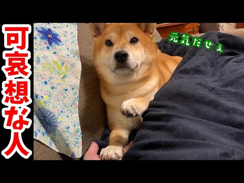 兄に見捨てられた父を柴犬はどう対処するのか⁉