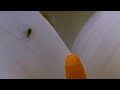 #bugs #itsabugslife