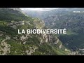 Ref:FZFO35BPTyc La biodiversite 
