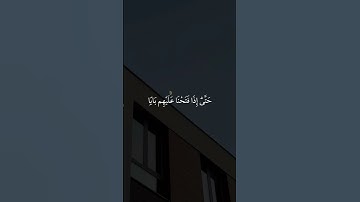 #ماهر_المعيقلي تلاوة هادئة ومؤثرة جدًا بصوت الشيخ ماهر المعيقلي؟#ماهر_المعيقلي