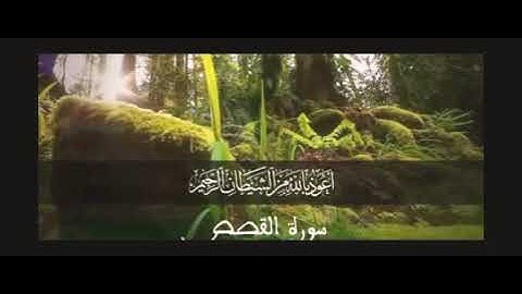 من أروع تلاوات الشيخ عبد الباسط عبد الصمد لسورة القصص ...ابداع يفوق الخيال و صوت ولا أروع