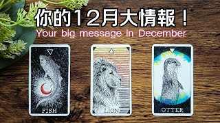 Download Lagu 你的12月大情報🚩+提問彩蛋！#運勢#感情#事業#人際🎗️黑皮好思HappyHouse Tarot⭐能量顯化 #塔羅占卜#諮詢 #tarotreading MP3