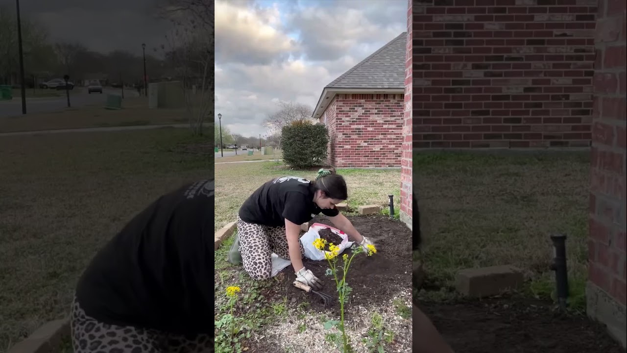 Low maintenance flower bed transformation part 1 