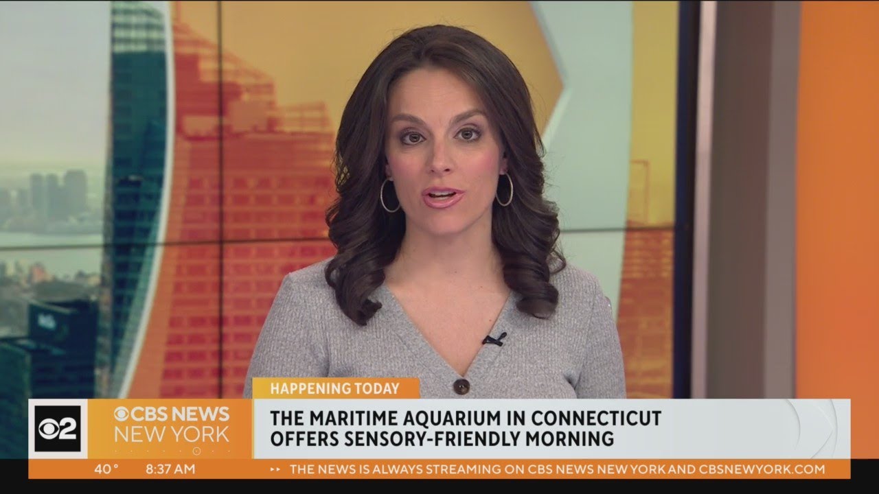 Maritime Aquarium offers sensory-friendly morning