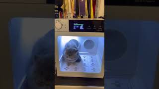 Pet cage dryer by Pam DeGolyer 32 views 2 years ago 1 minute, 46 seconds