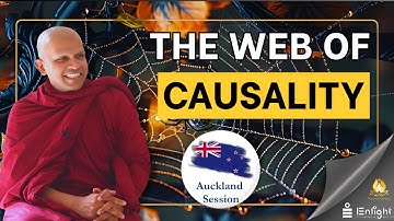 🕷️  The Web of Causality- [Auckland Programme] 🕷️