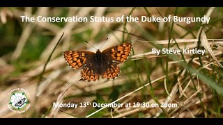 The Conservation Status of the Duke of Burgundy Butterfly