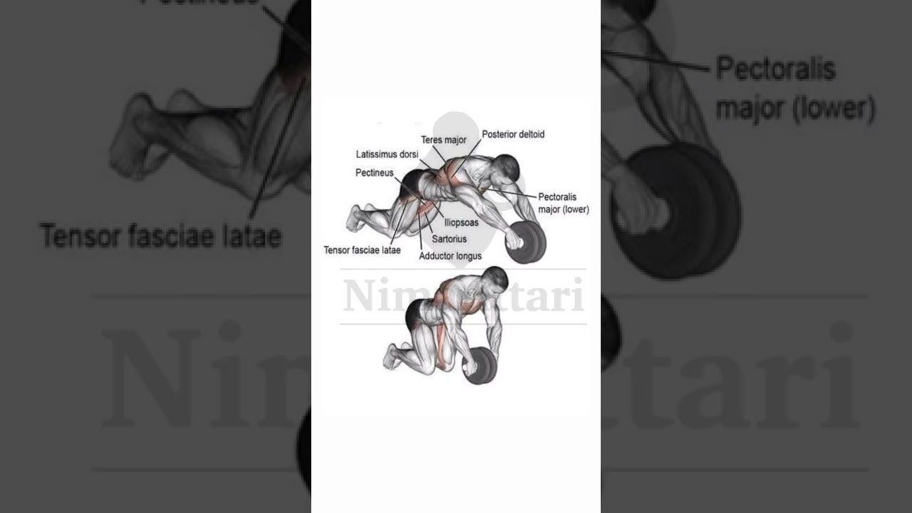 abs best 3 exercise||Gym workout exercise||NimaAttari fitness training