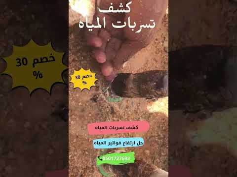 بناء عاجل اكسبلور ترند شركة ترند   فيديو ترند تيك توك تصميم ترند تيك توك