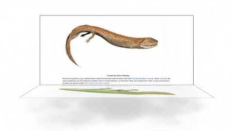 Cassiopeia Project - Evolution - 10 Highway Of Life - Credits