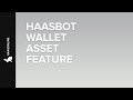 Haasbot's Wallet Asset Feature