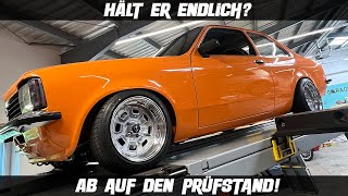 Die nächste Katastrophe?! | Degenhardt + Prüfstand + Vergaser | Boommmm + Bonusmaterial !!!