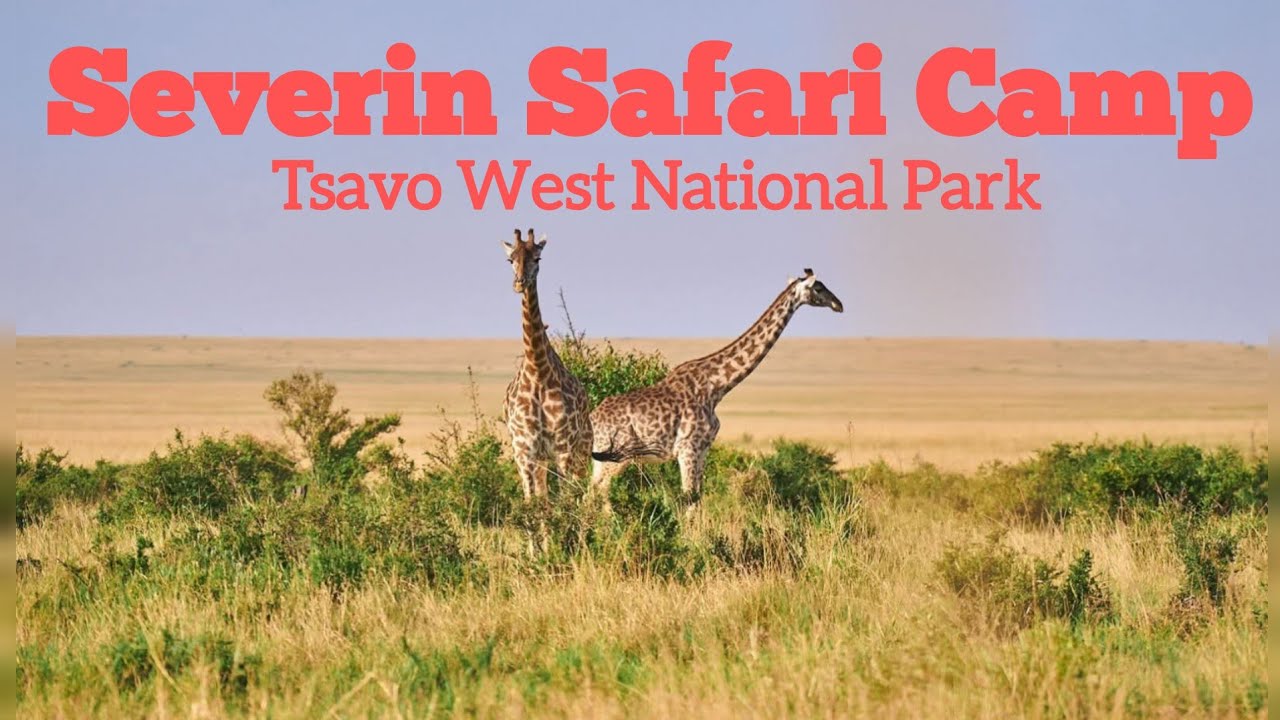 SEVERIN SAFARI CAMP, TSAVO WEST NATIONAL PARK 