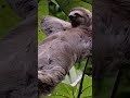 ارجوكم تابعوني