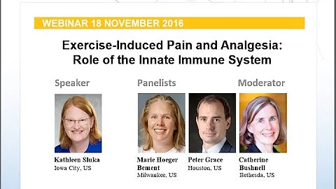 Pain Research Forum Webinar