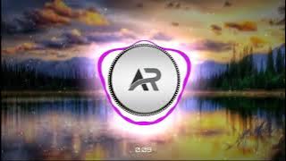 DJ MONEY PARGOY - REBORN WOLFGANG TIKTOK VIRAL 🎧