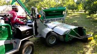Raccolta delle noci De Masi Cantiere di raccolta composto da MM 19 e CRN 3 2