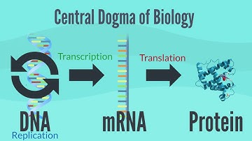 Central Dogma of Biology
