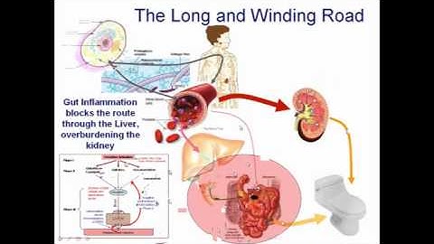 Chris Shade Quicksilver Detox Webinar