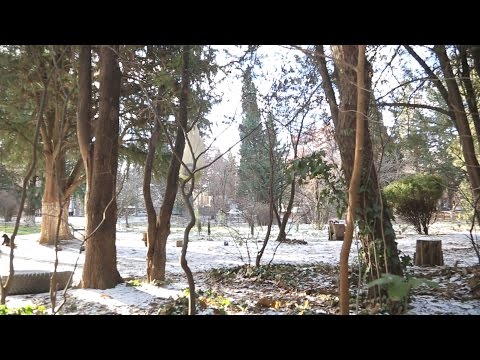 რეალური სივრცე - დიღმის ტყე-პარკის რეალური სივრცე / ცოდნის გავრცელების ახალი ადგილი წნორში