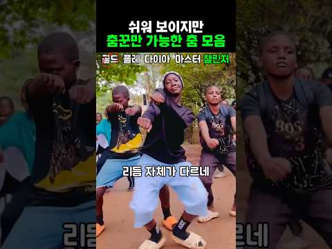 쉬워 보이지만 춤꾼만 가능한 춤 모음