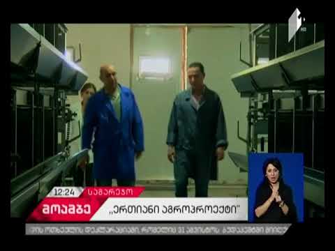 საგარეჯოს რაიონში ახალი  მეფრინველეობის საწარმო ამოქმედდა